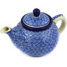 Polish Pottery Stoneware TEA COFFEE POT
