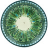 Polish Pottery Stoneware PLATE
