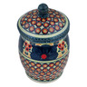 Polish Pottery Jar with Lid 8&quot; Perfect Day