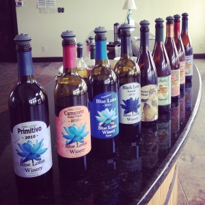 Hill Country Wineries Reviews