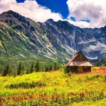 Poland’s Natural Beauty: National Parks, Forests, and Lakes