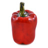 5-inch Stoneware Pepper Figurine - Polmedia Polish Pottery H1870M