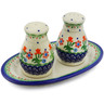Polish Pottery 3-Piece Salt and Pepper Set with Tray Spring Flowers