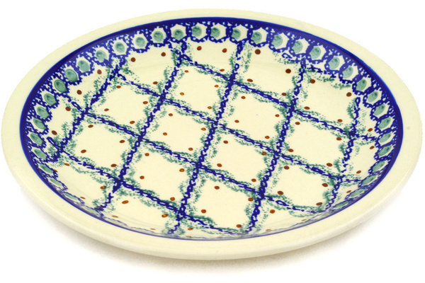 Plate 9"