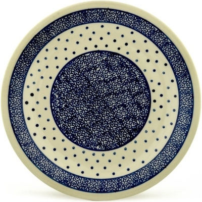 Plate 9"