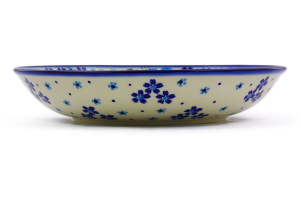 Pasta Bowl 8"