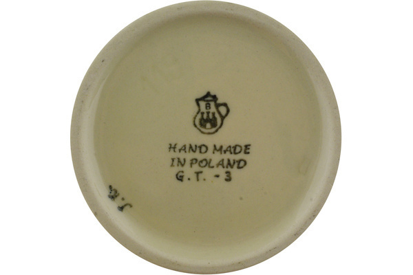 Tea or Coffee Pot 20 oz