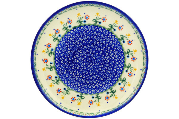 Plate 10"