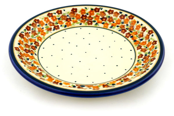 Plate 8"