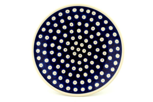 Plate 8"