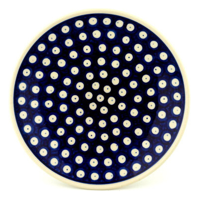 Plate 8"