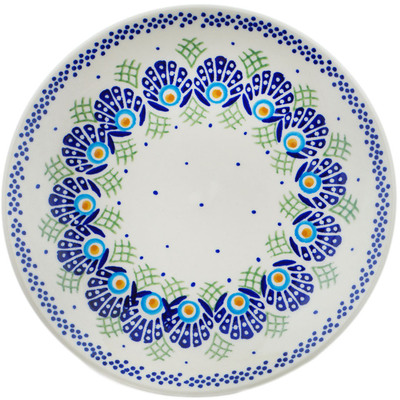 Plate 8"