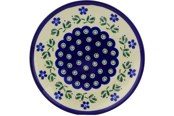 Plate 6"