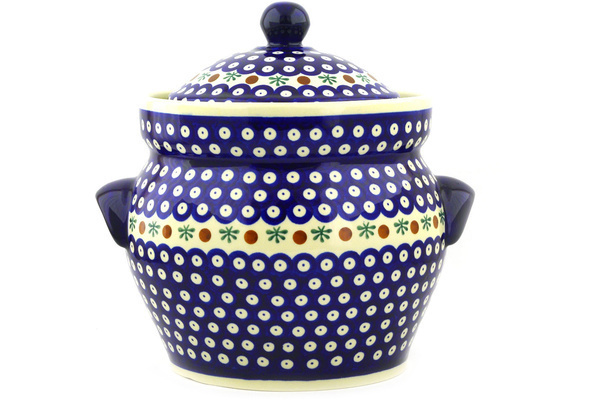 Fermenting crock pot