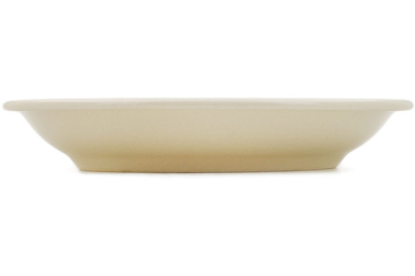Pasta Bowl 9"