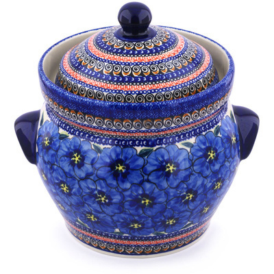 Fermenting crock pot