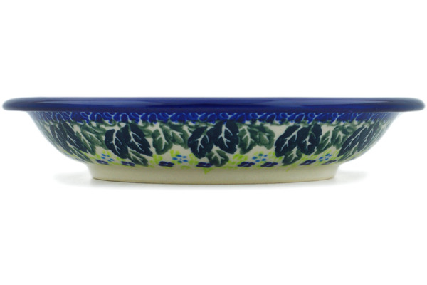 Pasta Bowl 9"