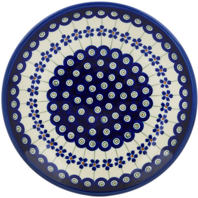 Plate 8"