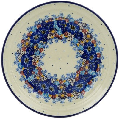 Plate 8"