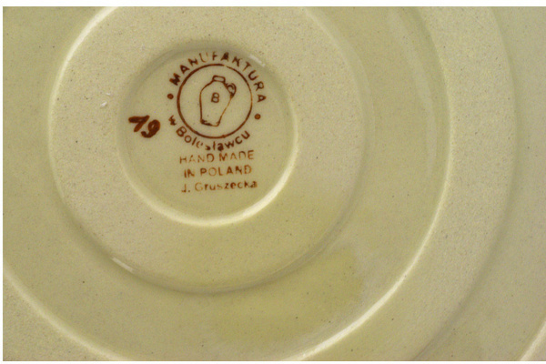 Fermenting crock pot