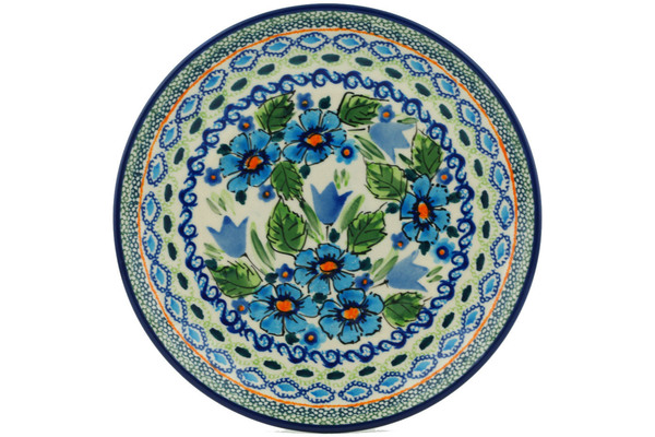 Plate 7"