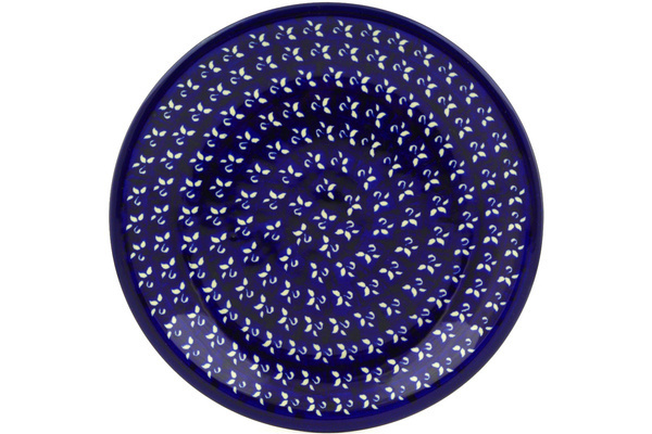 Plate 9"