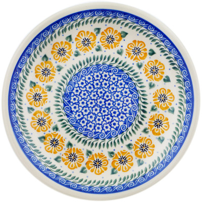 Plate 8"