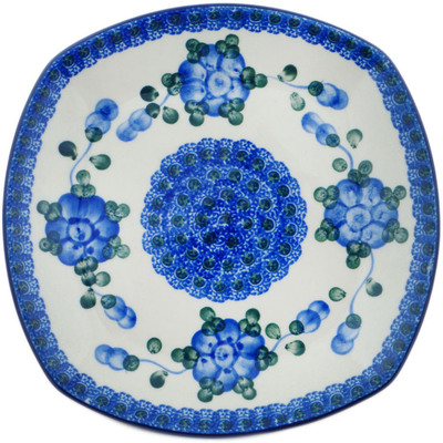 Plate 8"