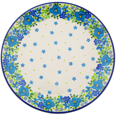 Plate 10"