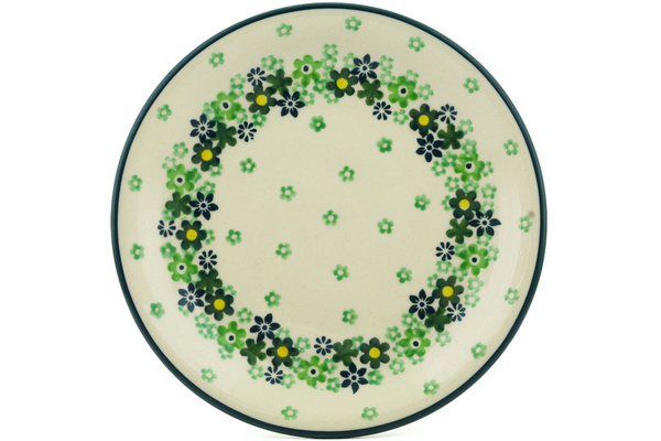 Plate 8"