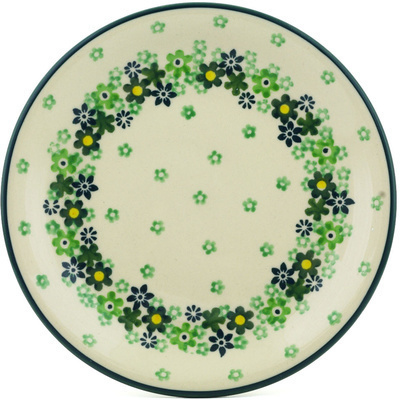 Plate 8"