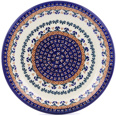 Plate 10"
