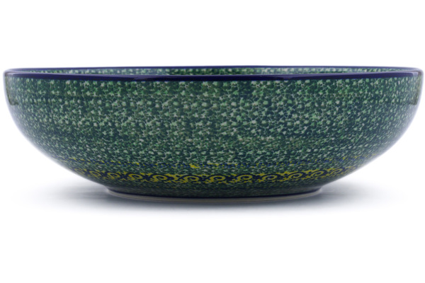 Bowl 11"