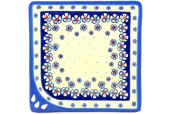Square Plate 10"