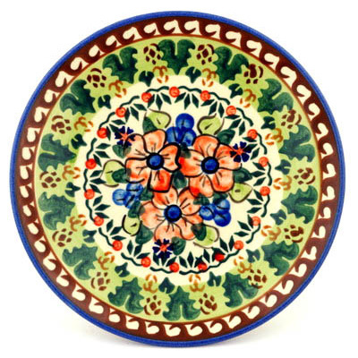Plate 8"