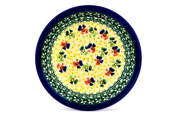 Plate 8"