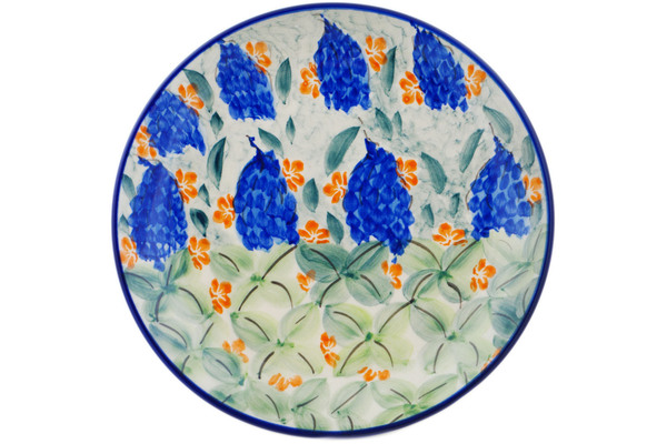 Plate 7"