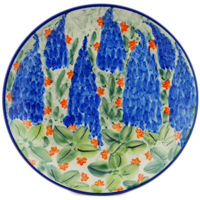 Plate 7"