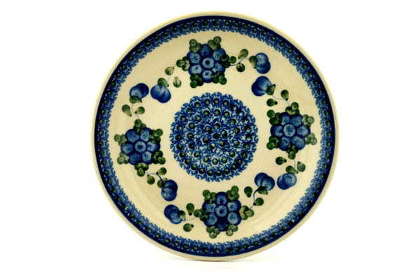 Plate 8"