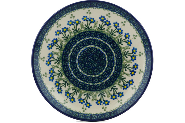 Plate 9"