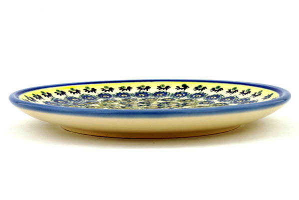 Plate 8"