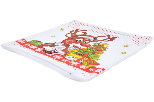 Pillow Case Set of 2