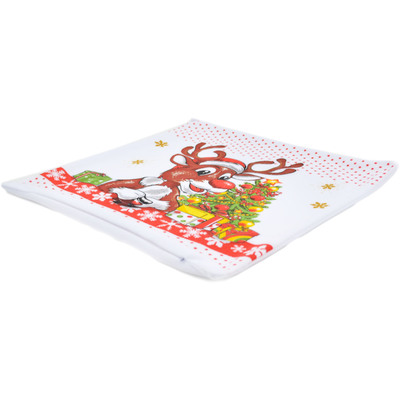 Pillow Case Set of 2