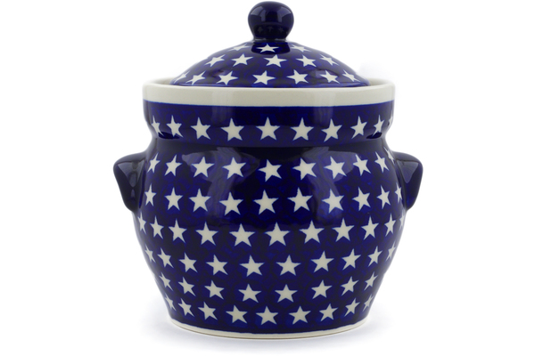 Fermenting crock pot