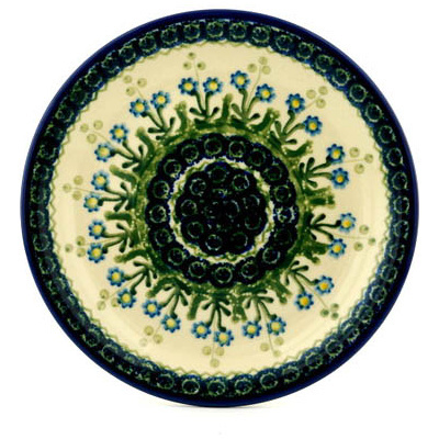 Plate 8"