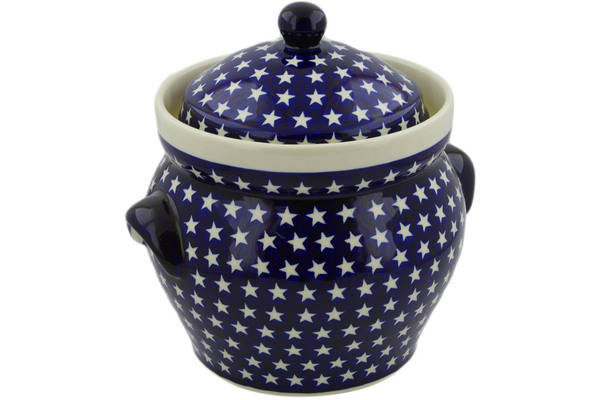 Fermenting crock pot