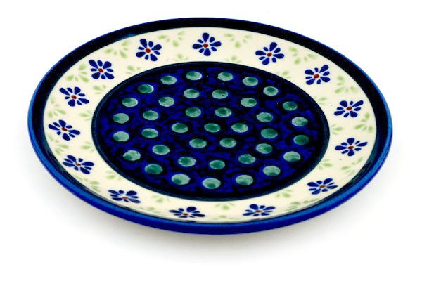 Plate 6"