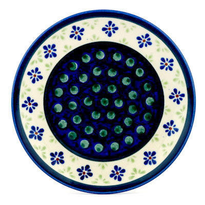 Plate 6"