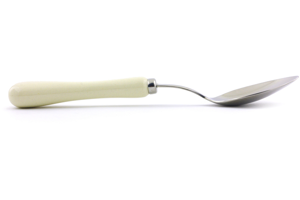 Stainless Steel Spoon 8"