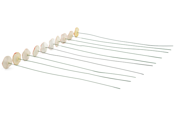 10-Piece Ceramic Flowers Set